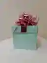 Caja De Regalo