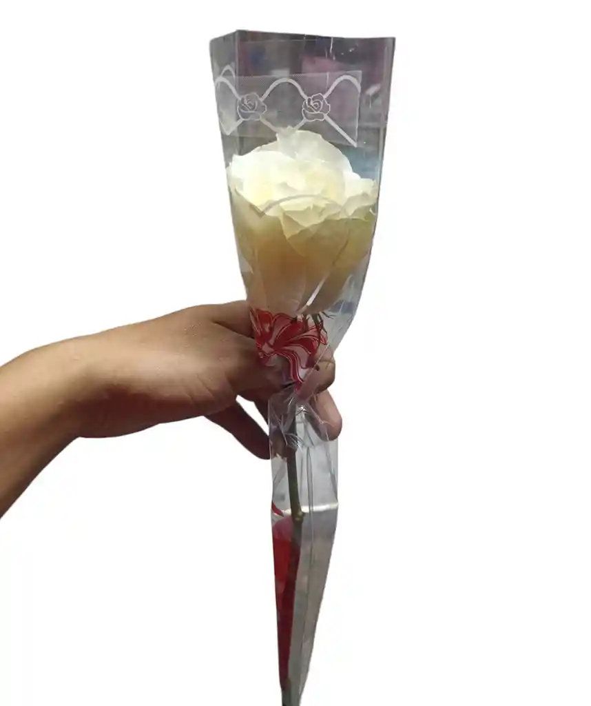 Rosa Individual