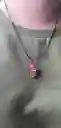 Dije De Cuarzos Jaspe Rojo (diferentes Modelos)