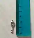 Llave Mediana De San Benito Abad Para Espacios Y Personal
