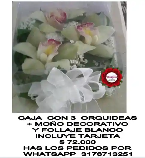 Detalle Fúnebre En Orquideas