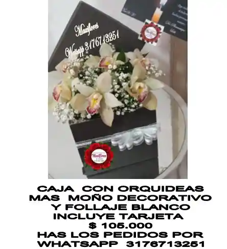 Ramo Fúnebre En Caja Negra Y Orquideas