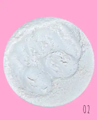 Polvo Suelto Grande 20 G Tono 2 Translucido Girly