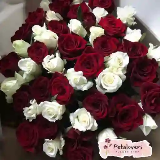 Flores Detalle Bouquet De 48 Rosas Rojas Y Blancas En Papel Coreano