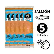 Dieta Barf Salmon King