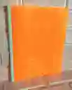 Carpeta Bisel Carta Naranja Neon
