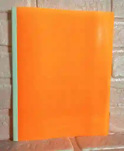 Carpeta Bisel Carta Naranja Neon