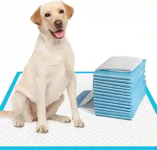 Tapetes Absorbentes Para Perros X 50 Uds 65 X 75 Cm Pañales Para Perros Pañales Para Mascotas Tapete Para Perro Tipo Petys