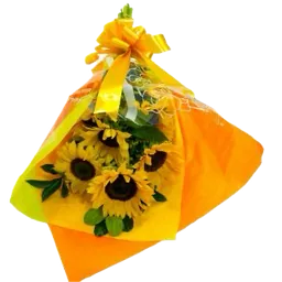 Girasoles Mini