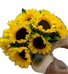 Bouquet De 8 Girasoles