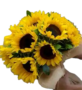 Bouquet De 8 Girasoles