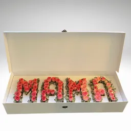 Caja De Mama En Rosas