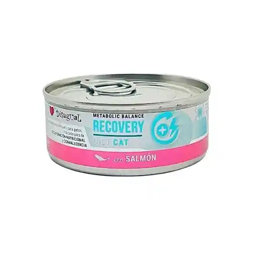 Disugual Cat Recovery Diet - Salmon Lata Por 85 Gr