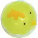 Hervidor De Huevos Rápido Automático