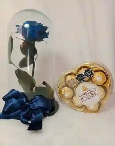 Rosa Azul Preservada Y Chocolate Ferrero Rocher