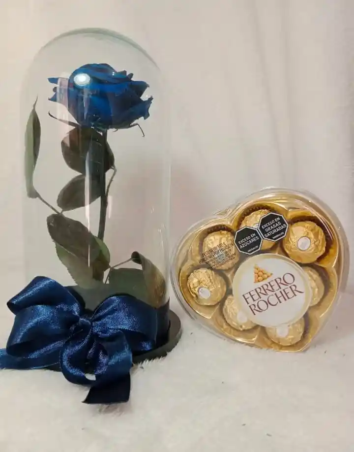 Rosa Azul Preservada Y Chocolate Ferrero Rocher