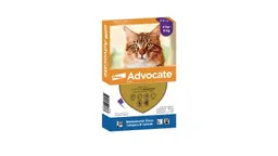 Advocate Gato 4-8 Kg