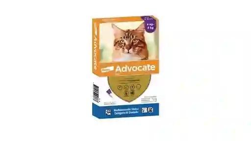 Advocate Gato 4-8 Kg