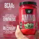 Amino X 70 Servicios Sandía