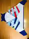 Toalla Paw Patrol Azul
