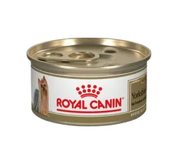 Royal Canin Lata Dog Bhn Yorkshire 85g