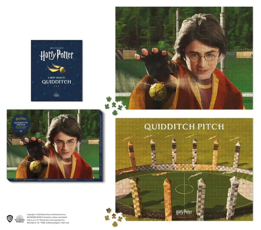 Harry Potter Quidditch Match 2-in-1