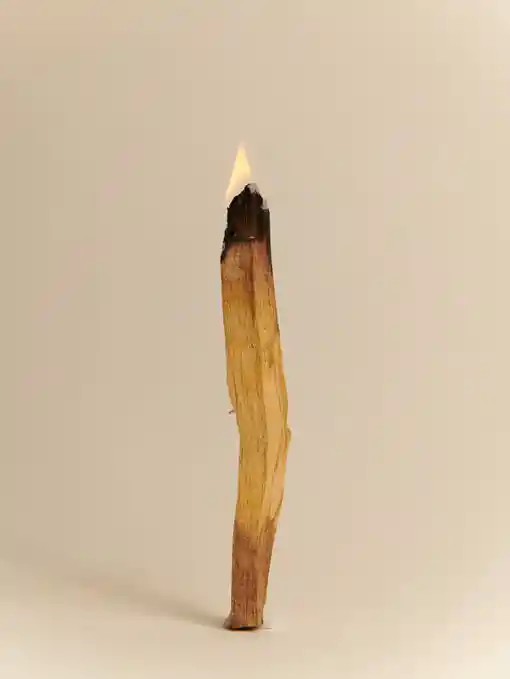 Palo Santo (20 Gramos)