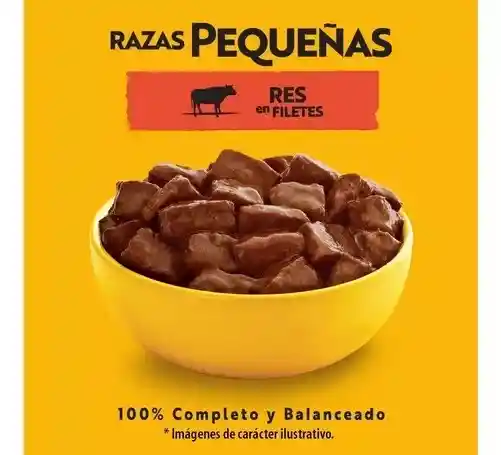 Alimento Húmedo Perro Adulto Carne 24 Sobres X100g