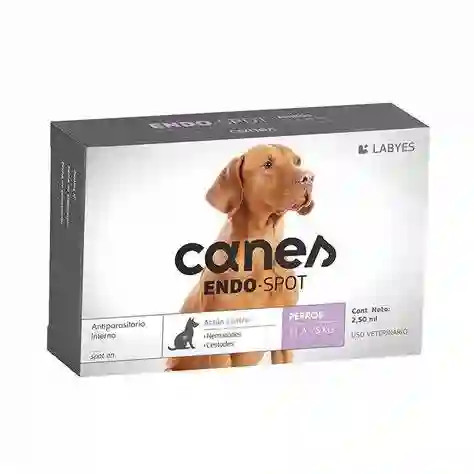 Canes Endo-spot 11 A 25 Kg