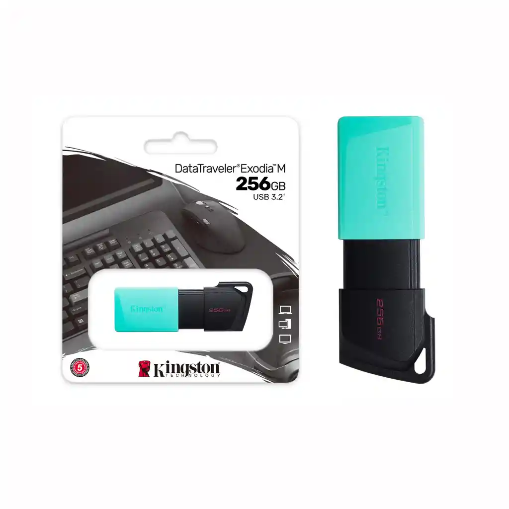 Memoria Usb 3.2 Kingston Datatraveler Exodia M 256gb