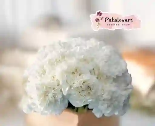 Flores Bouquet De Claveles Blancos