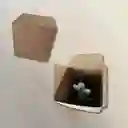 Vela De Angel Con Portavela