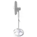 Ventilador Pedestal Pared 18 Pulgadas 75w Coral Blanco