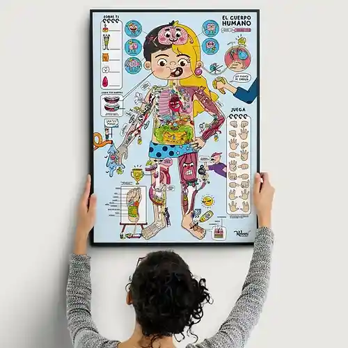 Set Educativo Pegapost El Cuerpo Humano Con Stickers Niños