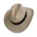 Sombrero Tipo Aguadeño Sandoneño L Beige