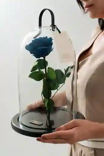 Rosa Preservada Extra Grande Azul