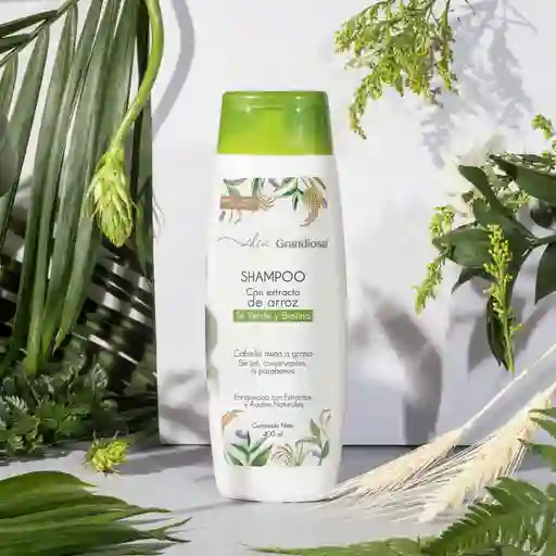 Shampoo Grandiosa De Arroz