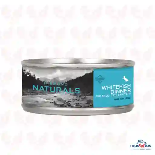 Alimeto Humedo Diamond White Fish Cat 5.5oz