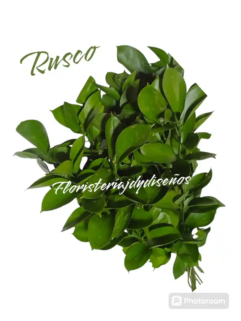Rusco