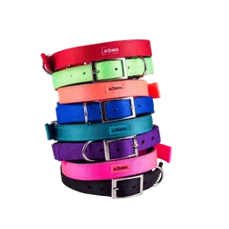 Collar Nylon Reata Altorno - L