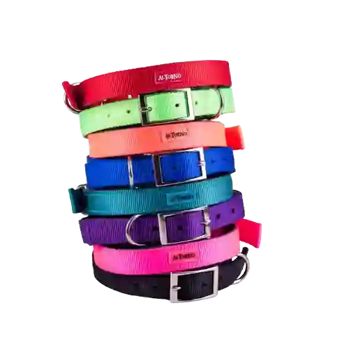 Collar Nylon Reata Altorno - L