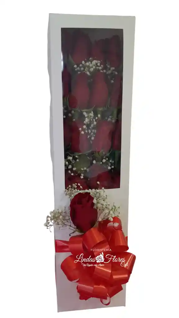 Caja De Rosas Rojas