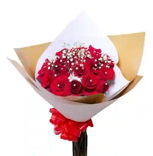 Buchon Rosas Rojas