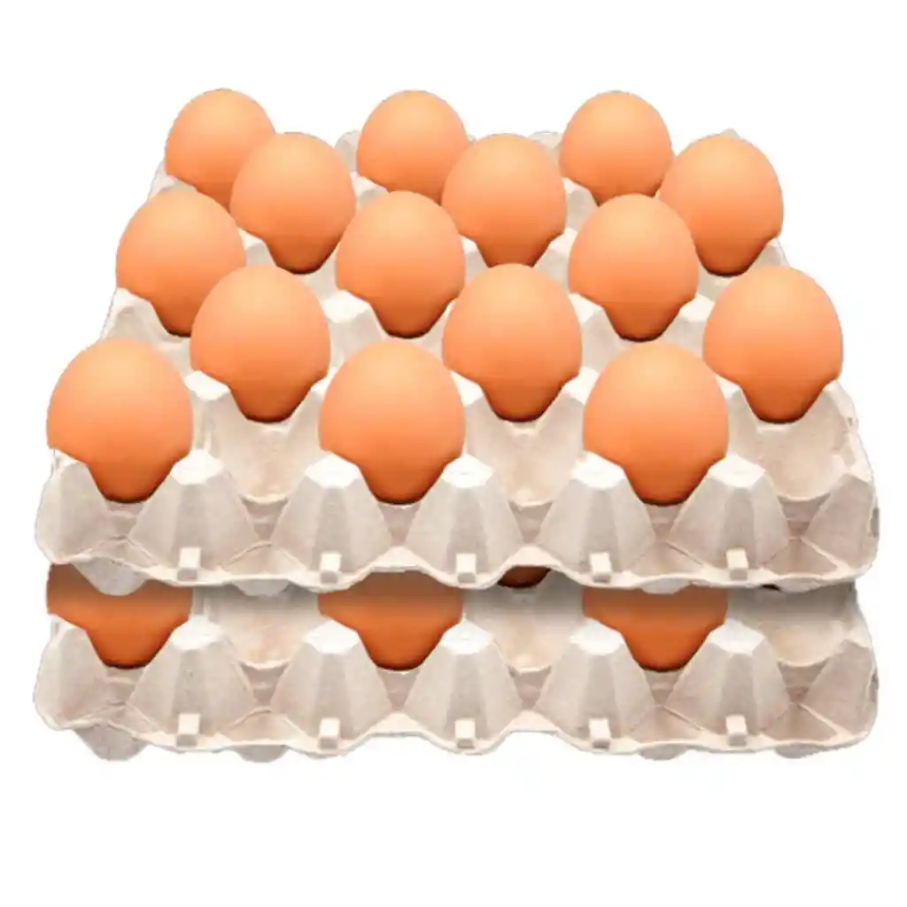 Huevos Tipo Jumbo