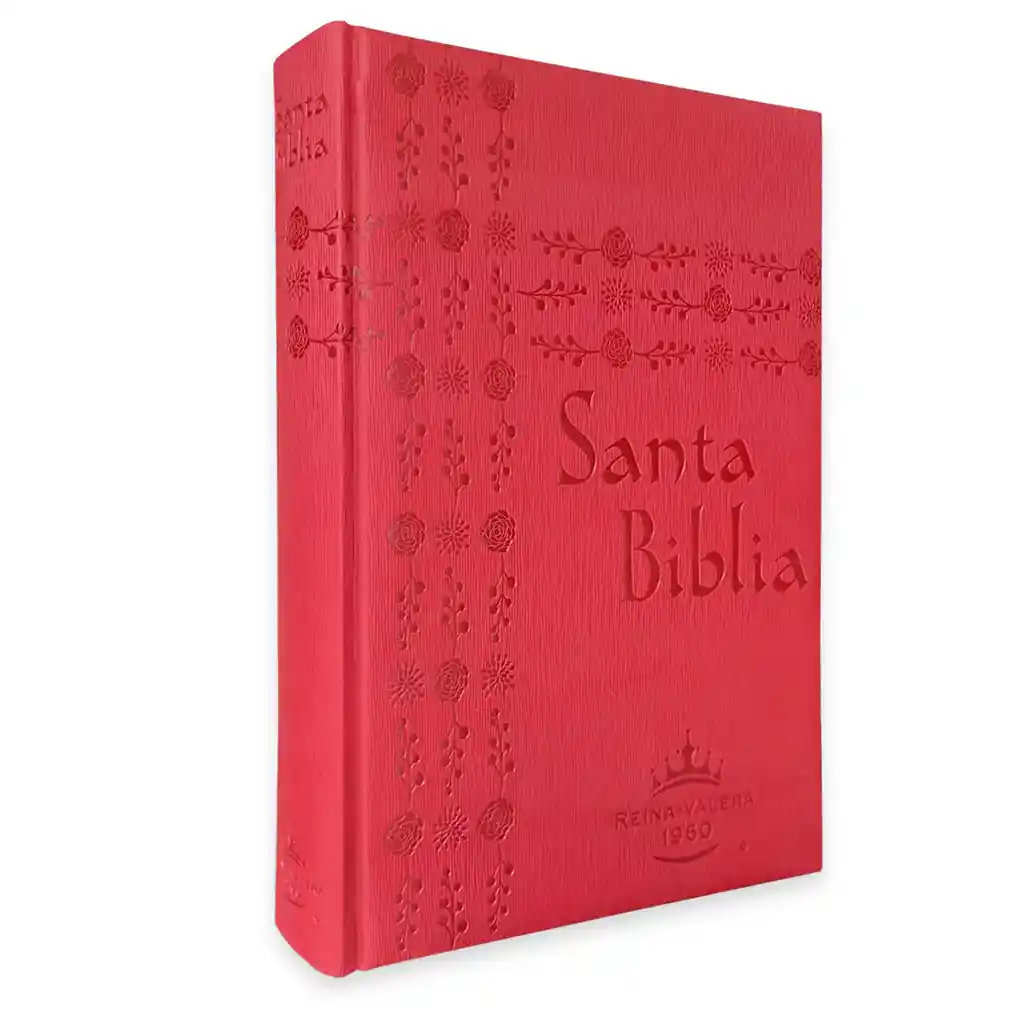 Santa Biblia Reina Valera 1960 Grande Roja | Letra Super Gigante