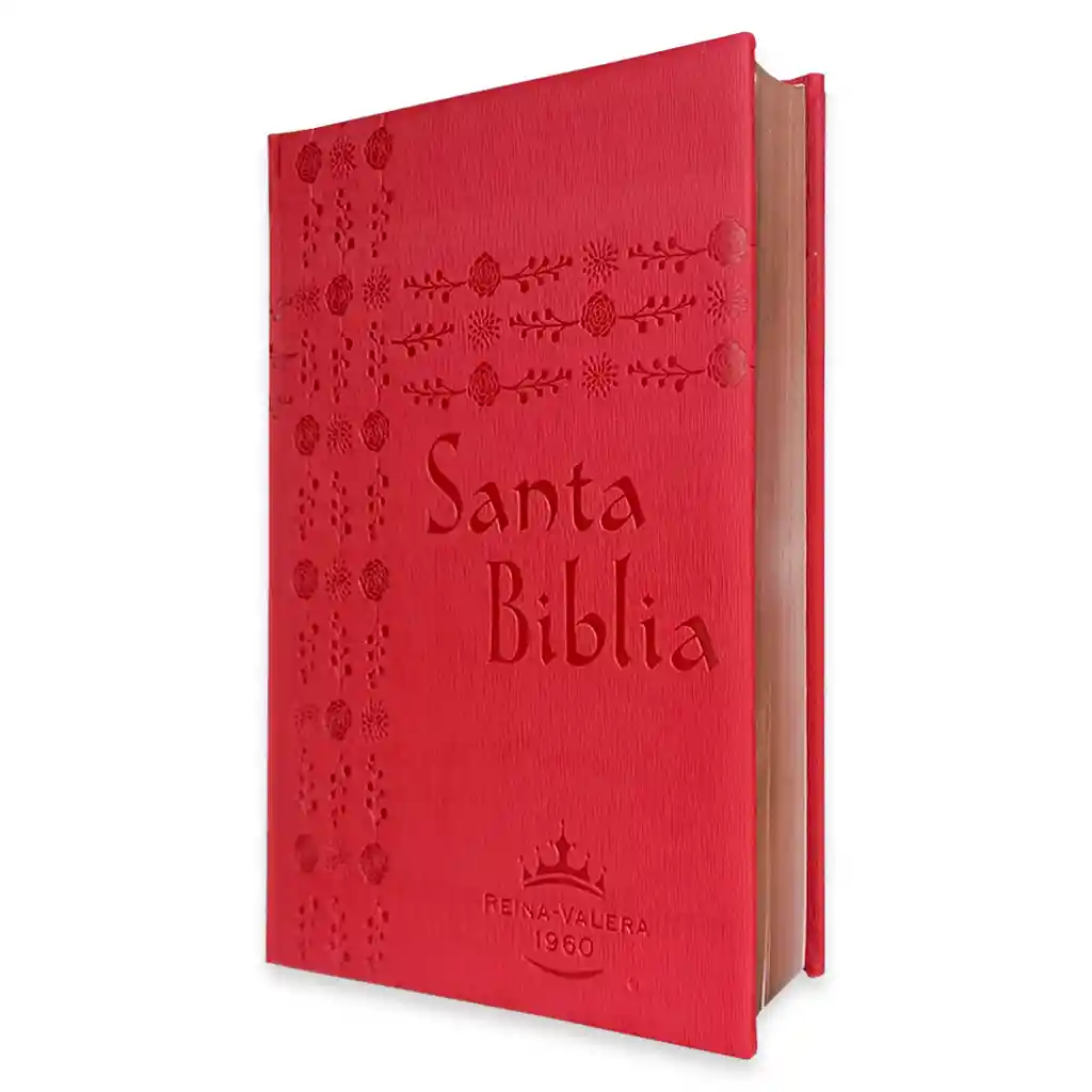 Santa Biblia Reina Valera 1960 Grande Roja | Letra Super Gigante