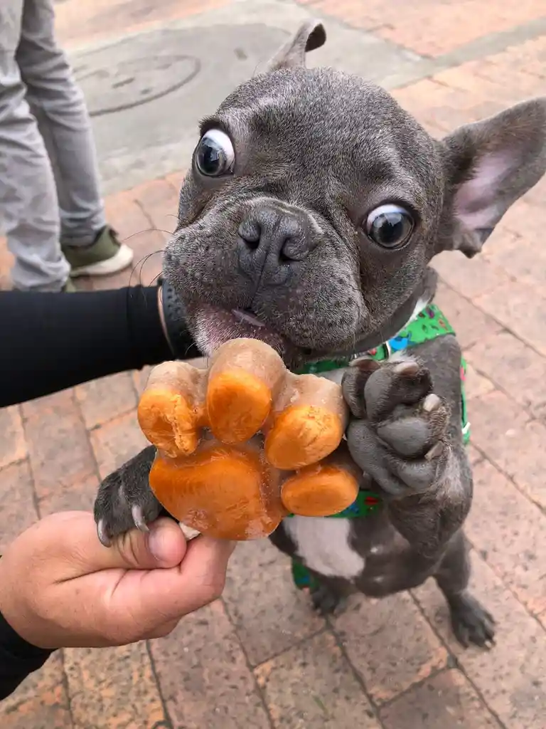 Helado Para Perros