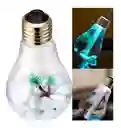 Humidificador Bombillo Difusor Aroma / Luz Led 7 Colores