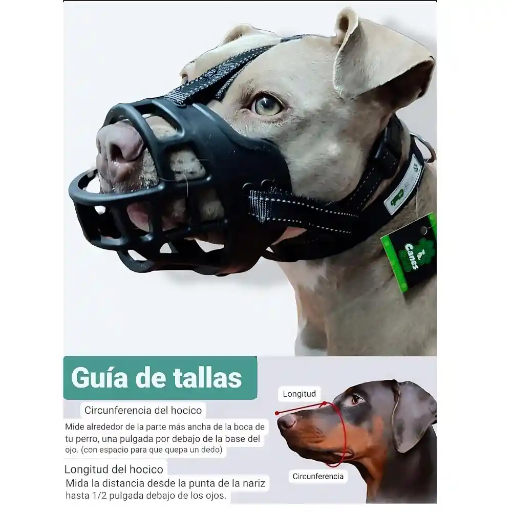 Bozal Talla #3