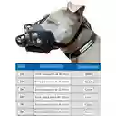 Bozal #4